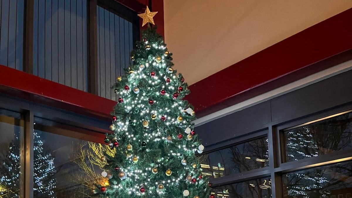 Image of a Christmas Tree in the SU Foyer